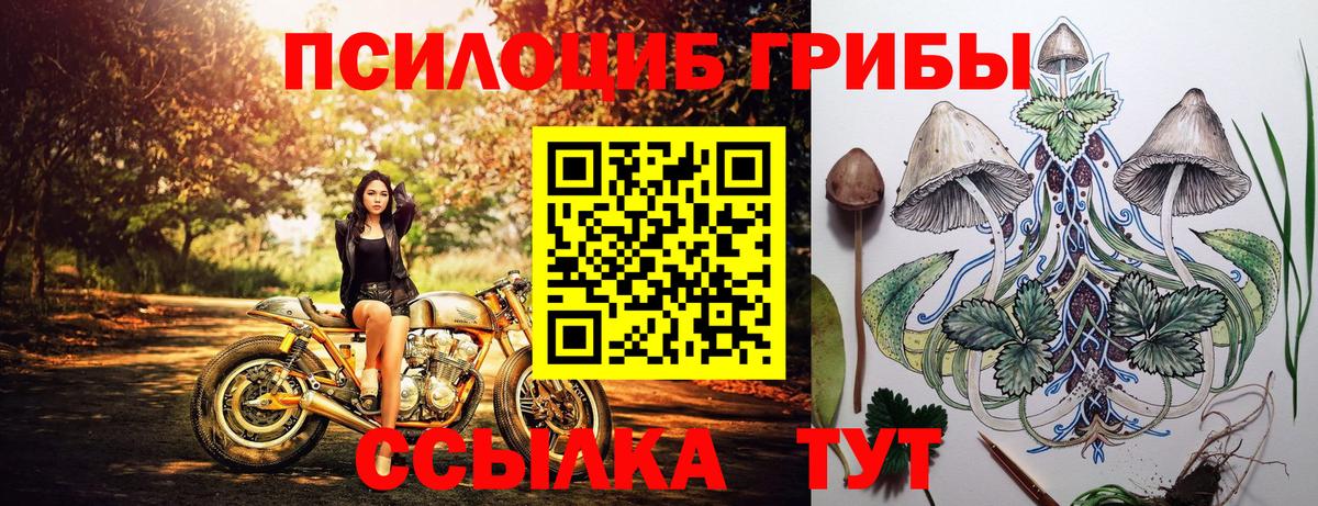 Псилоцибиновые грибы ЛСД  Псилоцибиновые грибы мицелий  Тула  Вход с VPN 