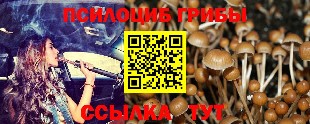 Галлюциногенные грибы MAGIC MUSHROOMS Тула